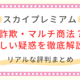 スカイプレミアム評判